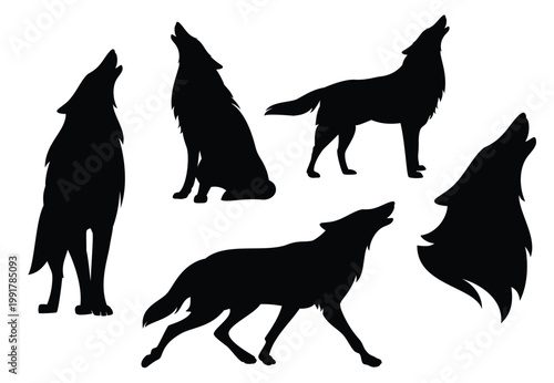 howling wolf black and white vector detailed silhouette set - standing, sitting and running animal side view outline