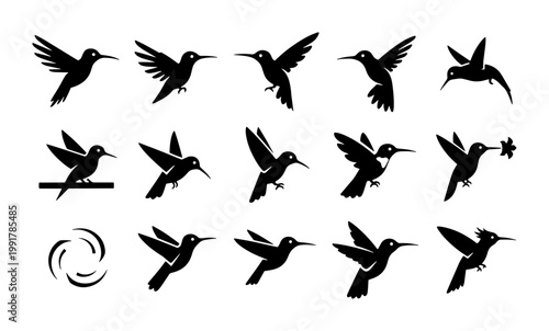 Minimalist hummingbird silhouette collection, set of 14 black bird icons in flight, tropical colibri vector graphics for logo design and branding