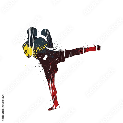 Martial Arts Fighter Silhouette with Paint Splatter Effect