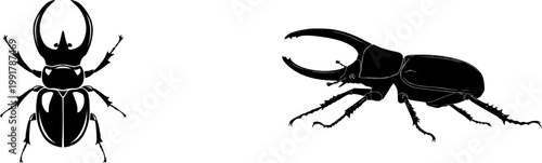 An ultra-realistic photograph of a rhinoceros beetle, showcasing its massive horn and glossy, dark chestnut-colored exoskeleton, isolated on a pure white background