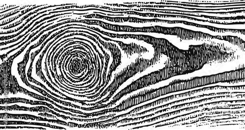 Close up detailed black and white wood texture with knot and grain pattern background