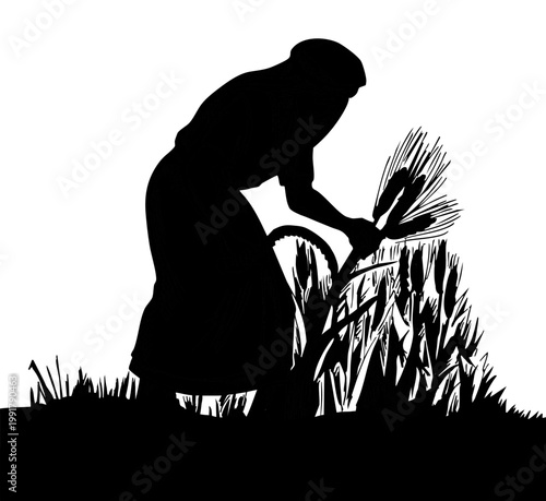 Vector drawing. Woman reaps a wheat