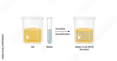 Emulsion, a mixture of two immiscible liquids (oil and water) in beakers, Emulsion  water in oil, Immiscible liquids. Emulsification, emulsifier. isolated on white background. Vector illustration.