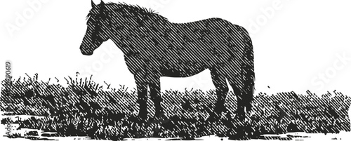 Silhouette of a horse standing on grass with detailed crosshatch texture in vintage