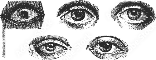 vintage hand drawn human eyes collection artistic detailed ink sketches, expression and gaze variety