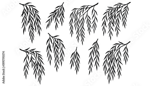 Vector transparent background set of weeping willow branches falling leaves branches isolated on transparent.