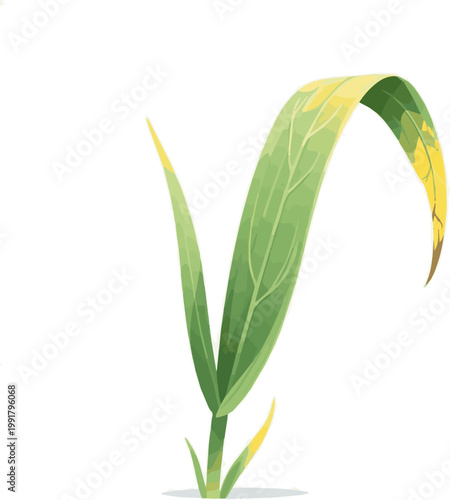 Create a realistic 2D grass bored vector art with white background.