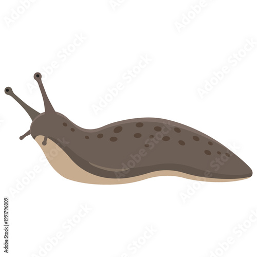 Slug Illustration: A detailed illustration showcases a slug, highlighting its unique features and characteristics.