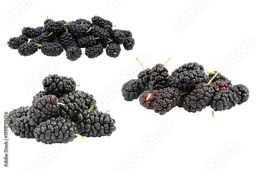 Mulberries isolated on white background, fresh black mulberry berries set. File contains clipping path.