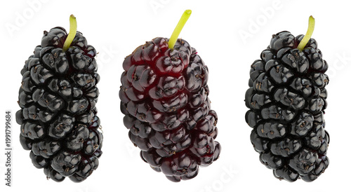 Mulberries isolated on white background, fresh black mulberry berries set. File contains clipping path.