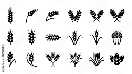 Wheat ear icons set, black cereal grain silhouettes, organic barley and rye stalks vector collection, 18 agricultural plant symbols for bakery branding