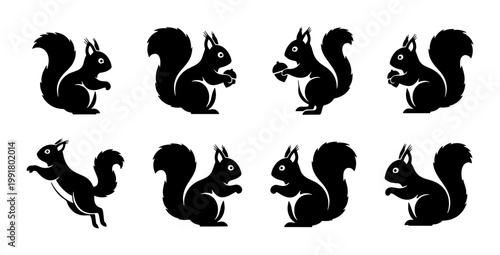 Squirrel silhouette vector set, 8 black squirrel icons in various poses, forest animal clip art collection for nature branding and logo design