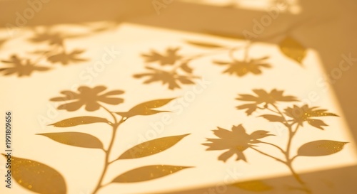 Floral shadows on a white surface, with sunlight casting leaf and flower silhouettes flowers leaves