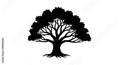 Silhouette of a Majestic Oak Tree with Spreading Branches.