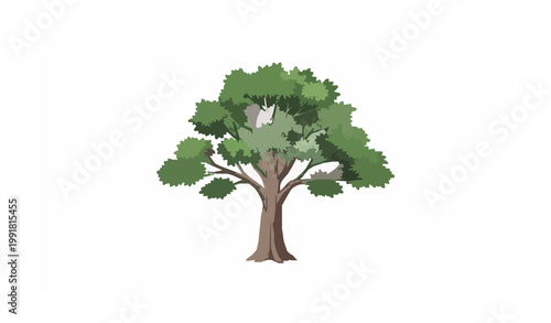 Elm tree flat vector illustration isolated on white background with wide leafy canopy natural botanical design