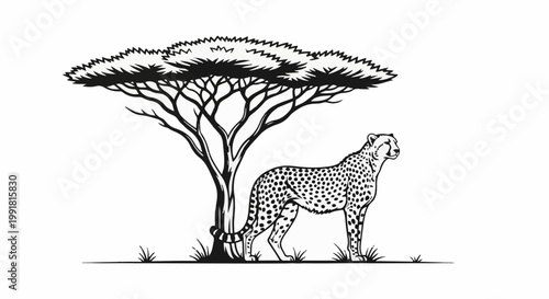 A stylized black and white illustration of a spotted cheetah standing under an acacia tree on the savanna