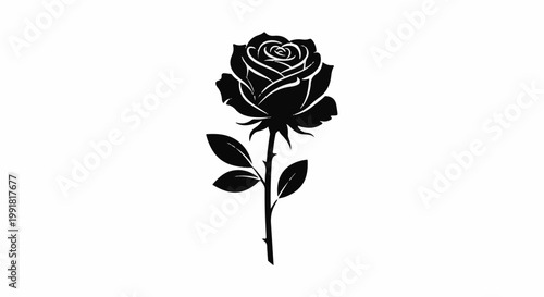 A stark black silhouette of a blooming rose, complete with stem and leaves