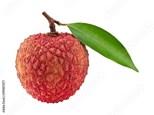 Fresh Lychee with Green Leaf Isolated on Transparent Background