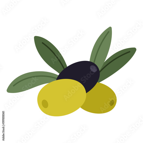 Green and black olives. Tasty appetizer, Mediterranean snack concept. Natural organic product, healthy cooking ingredient. Vector illustration isolated on white background.