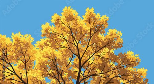 A vibrant autumn tree with golden foliage against a clear blue sky