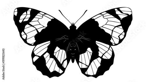 Black and White Butterfly Silhouette with Intricate Wing Patterns