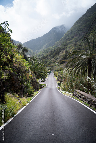 Scenic empty road surrounded by tropical vegetation, palm trees and mountains. Ideal for travel, road trip, freedom and adventure concepts.