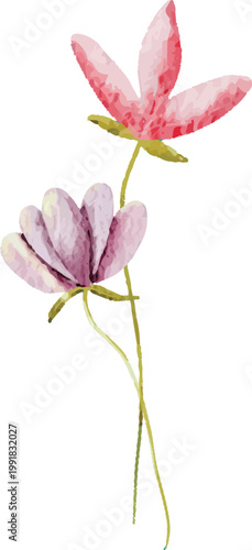 Wildflower Watercolor Illustration