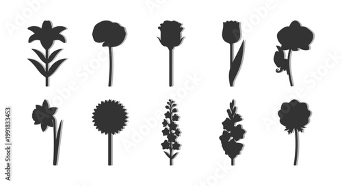 Garden Flower Silhouette Vector Set, Solid Black Botanical Figures for Landscape Site Analysis, Floral Stencil and Minimalist Graphic Design
