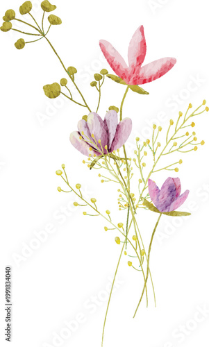 Wildflower Watercolor Illustration