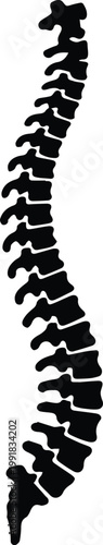 spine lateral view human vertebral column medical icon