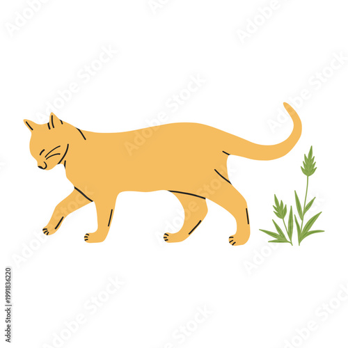 Cat drawing on a white background. Cute kitten in flat style for postcard, banner, web, design, arts. Vector illustration.