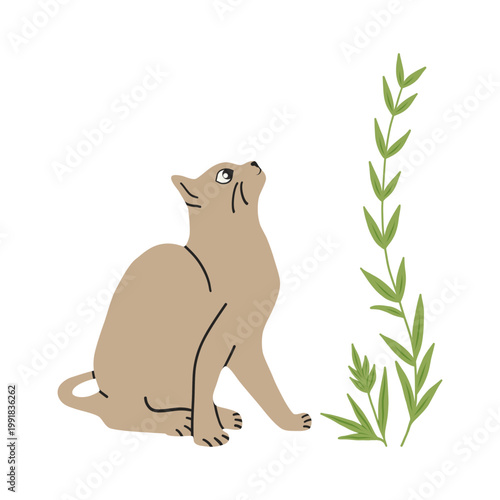 Cat drawing on a white background. Cute kitten in flat style for postcard, banner, web, design, arts. Vector illustration.