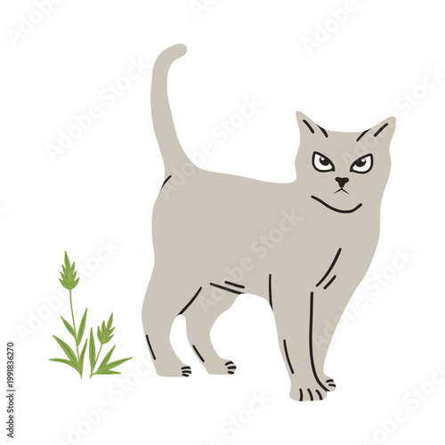 Cat drawing on a white background. Cute kitten in flat style for postcard, banner, web, design, arts. Vector illustration.