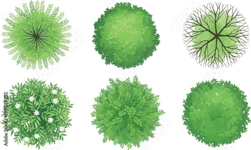 Visual representations of different virus structural models and surface morphologies Vector