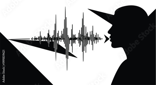 voice assistant sound wave audio signal