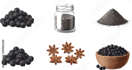 Black pepper and star anise spice collection with seeds powder jar and bowl cooking ingredients vector illustration set