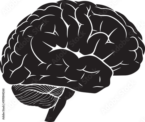Black brain icon, human brain illustration, cerebral vector, anatomy graphic