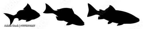 Fotografie Fins set with simple black silhouette on pure white background featuring marine,