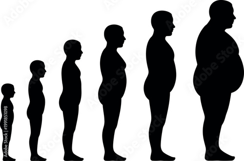 Visual representation of human growth stages and body mass progression