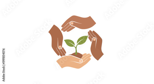 Hands nurturing a young plant together.