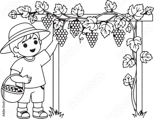 Cute Child Picking Grapes from Vineyard Cartoon Line Art Illustration
