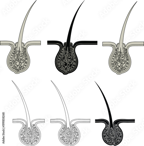 Hanging strawberry plant icons set ripe fruit vine illustration organic farming gardening concept fresh berries minimal black white vector isolated