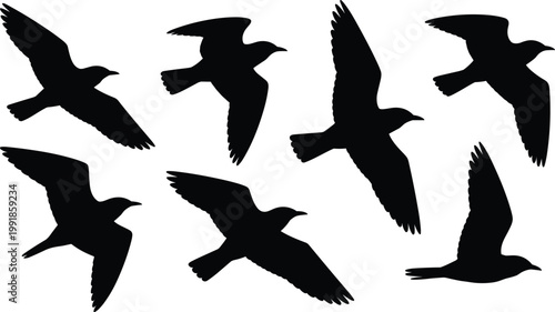 Fényképezés Flying bird silhouettes collection showing dynamic wing positions, black vector