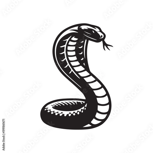 vector illustration of a snake