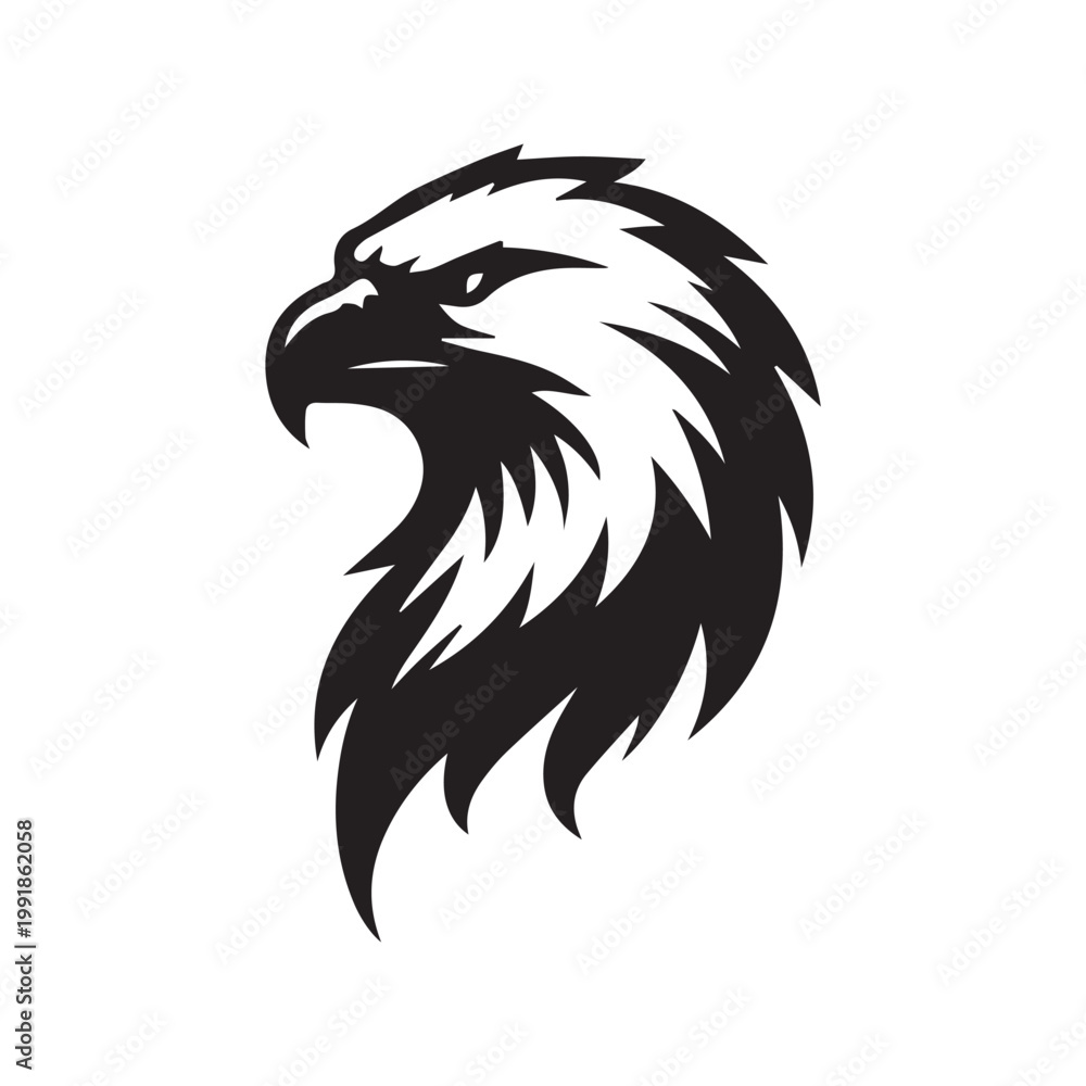 Fototapeta premium eagle head vector