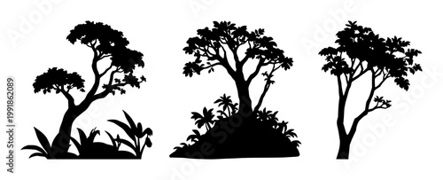 Rainforest canopy icon set with solid black icon on white background featuring trees, foliage, conservation with silhouette and canopy