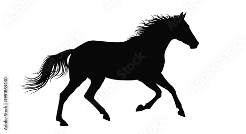 Galloping horse silhouette against a stark white background