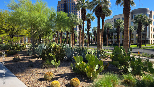 Obraz na plátne Desert Office Park with Palms and Cacti