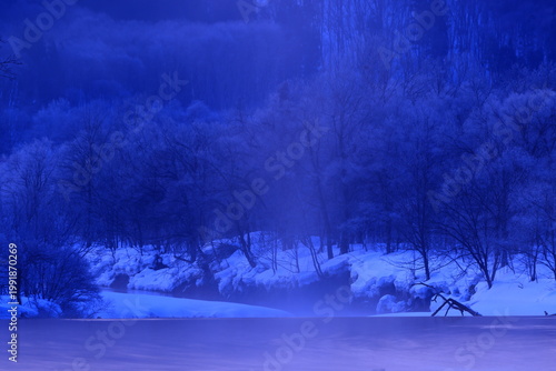 朝陽に染まる樹氷と川霧