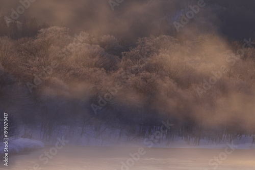 朝陽に染まる樹氷と川霧